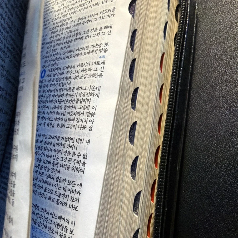 NIV Korean English Explanation Bible Leather Compact Red Letter Indexed 7x5